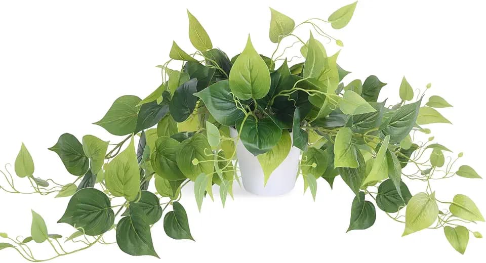Tiita Artificial Pothos Plant in Pot, 1 Pack for Desk and Shelf Decor
