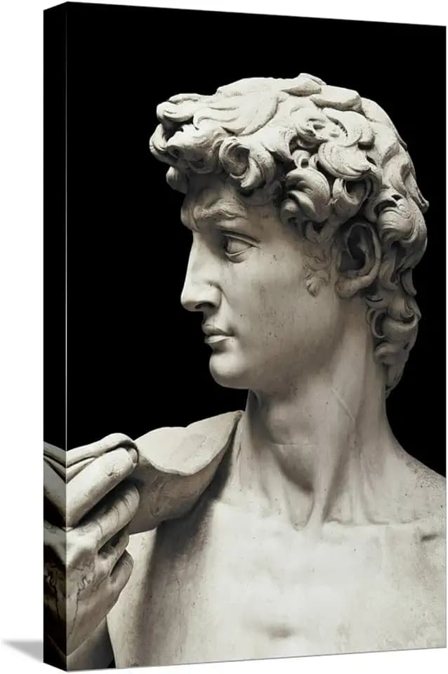 ART.COM Stretched Canvas Print David by Michelangelo, 12" x 18"
