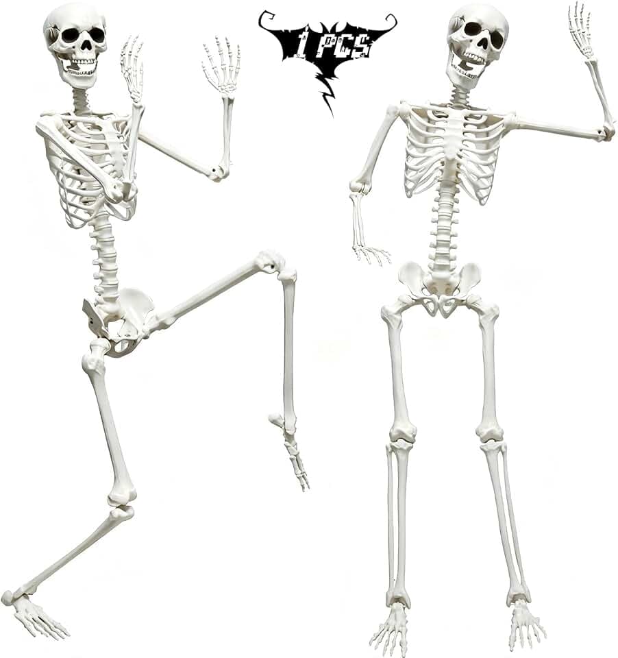 5.9FT Skeleton Halloween Full Size, Life Size Skeleton with Posable Joints