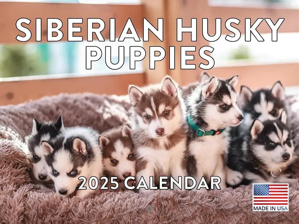 Siberian Husky Puppy Calendar 2027 Monthly Wall Calender 12 Month