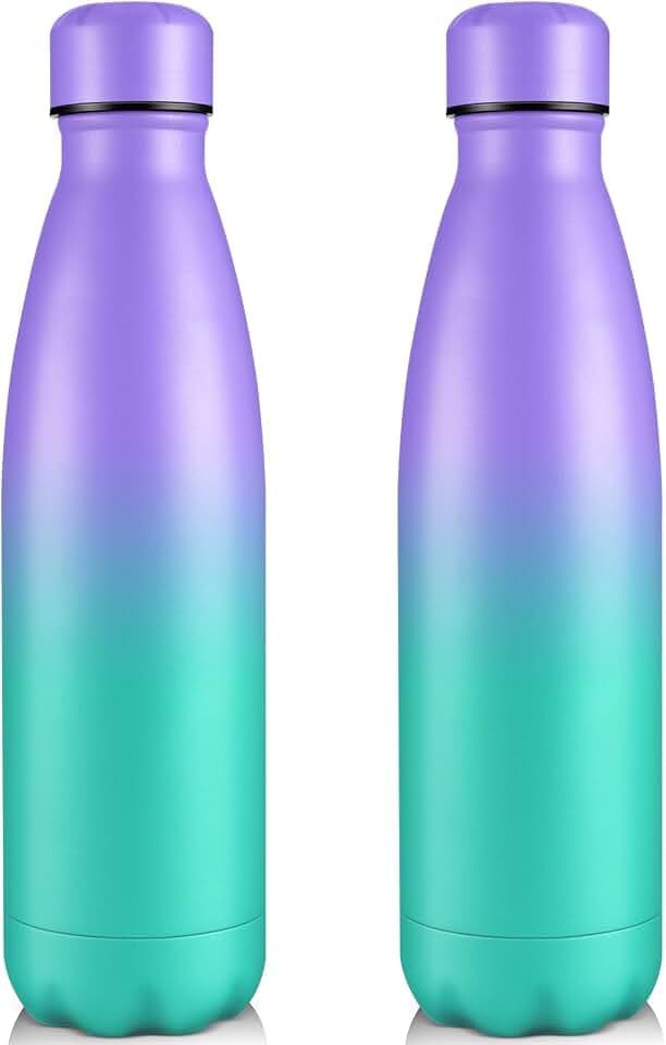 Volhoply 25oz Insulated Water Bottles 1/2/4 Pack, Double Wall Stainless Steel Vacuum Flask Keeps Cold & Hot, BPA Free Leakproof Bottle (Purple Green,2 Pack)