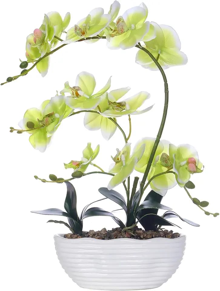 Large Silk Orchid in Wave Pot 19" Phalaenopsis Plant for Table, Apple Green