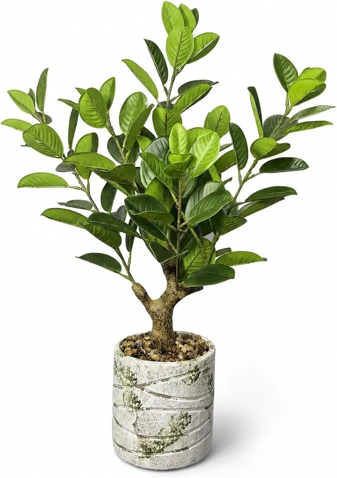 20.5 Inch Artificial Ficus Tree in Cement Pot with Pebbles, Realistic Faux Foliage Plant with Lush Green Leaves, Zero-Maintenance Greenery for Home Office Living Room Corner Decor