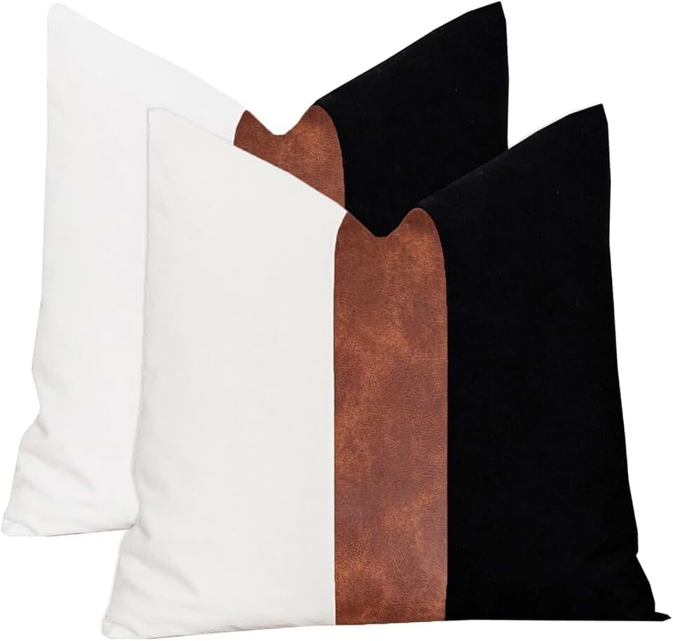 22x22 Decorative Farmhouse Throw Pillow Covers, Black and White