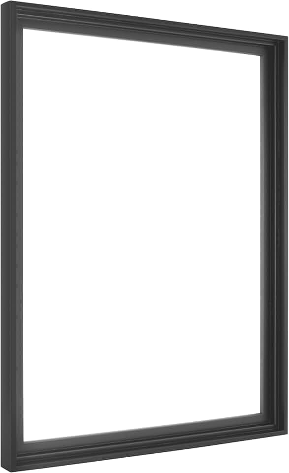 MCS Canvas Float Frame, 18x24, Black, 1-Pack