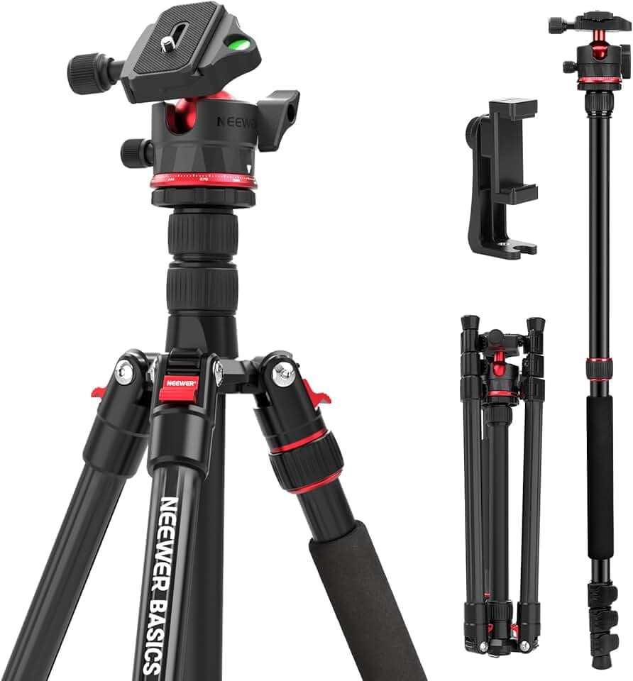 NEEWER Basics TP14B 72"/182cm Kompakt Reisestativ Einbeinstativ für Kamera | Leicht Tragbar Videoaufnahme Ständer, Arca Type Kugelkopf, Handyhalterung Kompatibel mit iPhone, max. Belastung 13,2 Lb