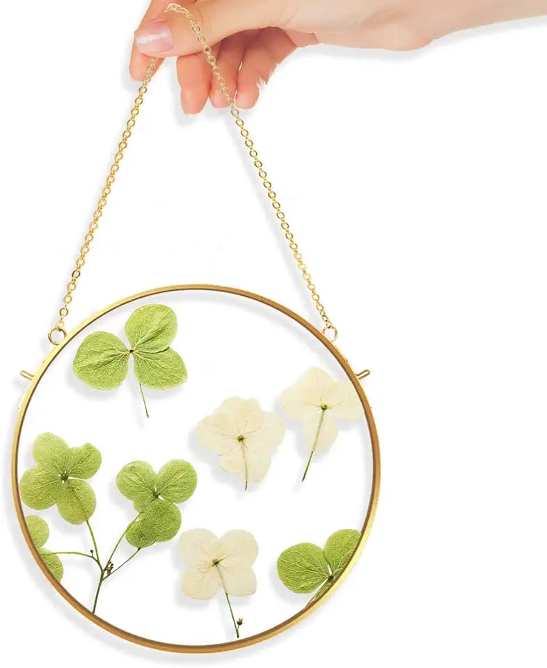 TLBTE 10x10 inch Round Brass Glass Hanging Photo Frame,Double side Circle for Pressed Flowers,Clear Circular DIY Vintage Artwork Display Picture Frame Wall Mounted Photos Frame