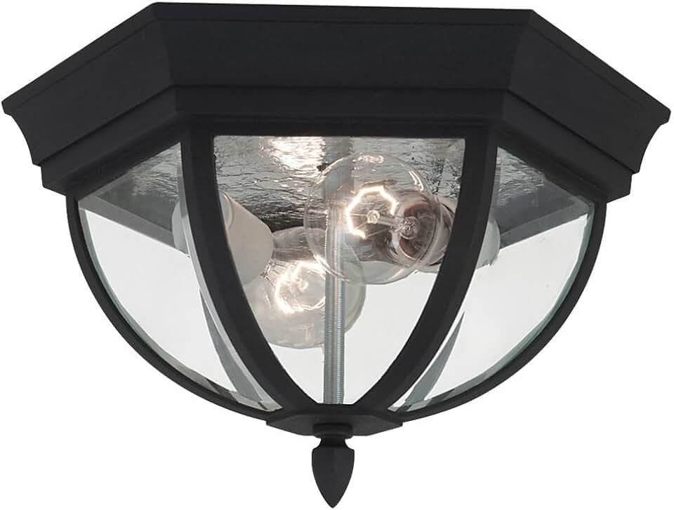Generation Lighting Wynfield 2-Light Outdoor Flush Mount in Black