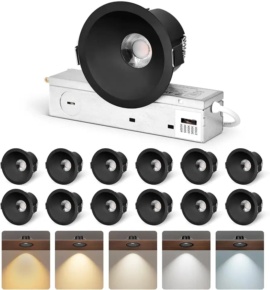 CycevSun Black Anti-Glare 3 Inch Recessed LED Light COB Spotlight, 12 Pack