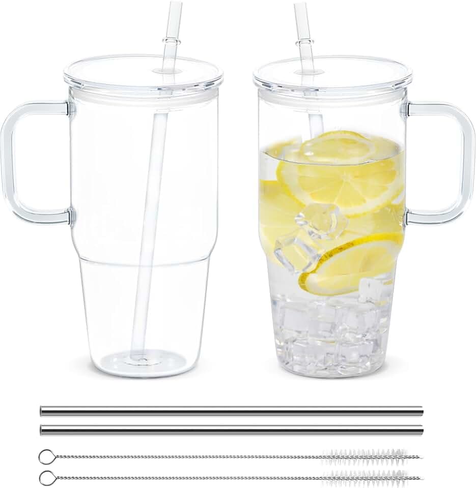 20oz Plastic Tumbler with Handle, 2Pack Clear Tumblers with Lid and Straw