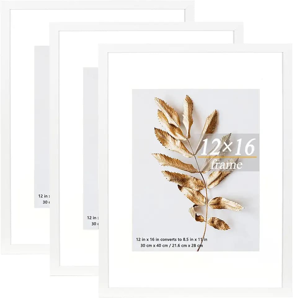 Set of 3 12x16 Picture Frame White can Display 8.5x11 Picture with Mat or 12x16 Without Mat on the Wall