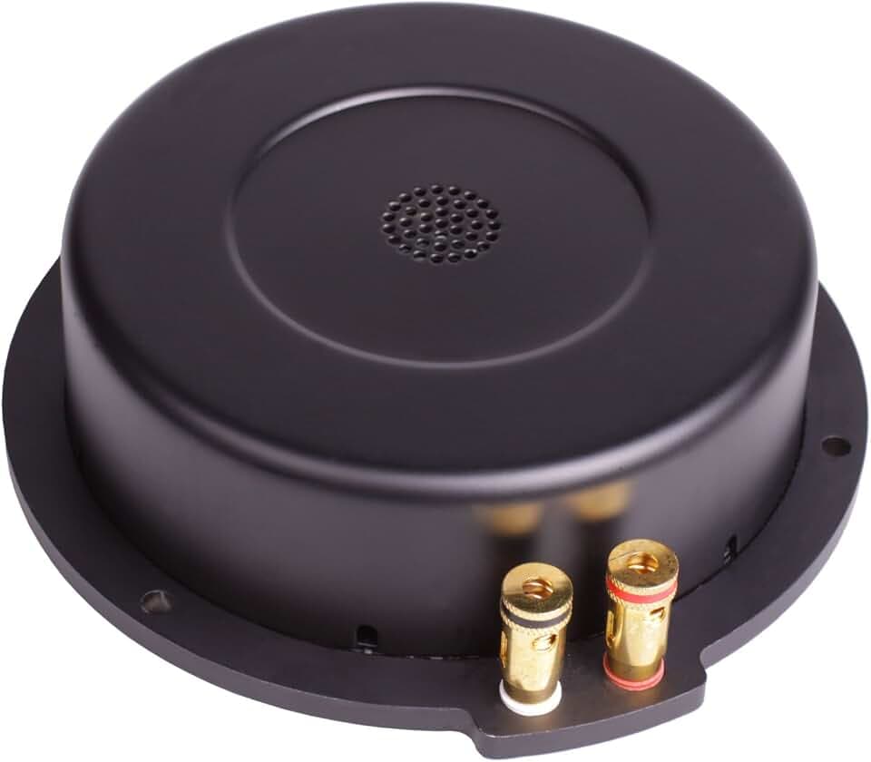 Reckhorn Bassshaker Körperschallwandler für Heimkino, Playseats + Therapie
