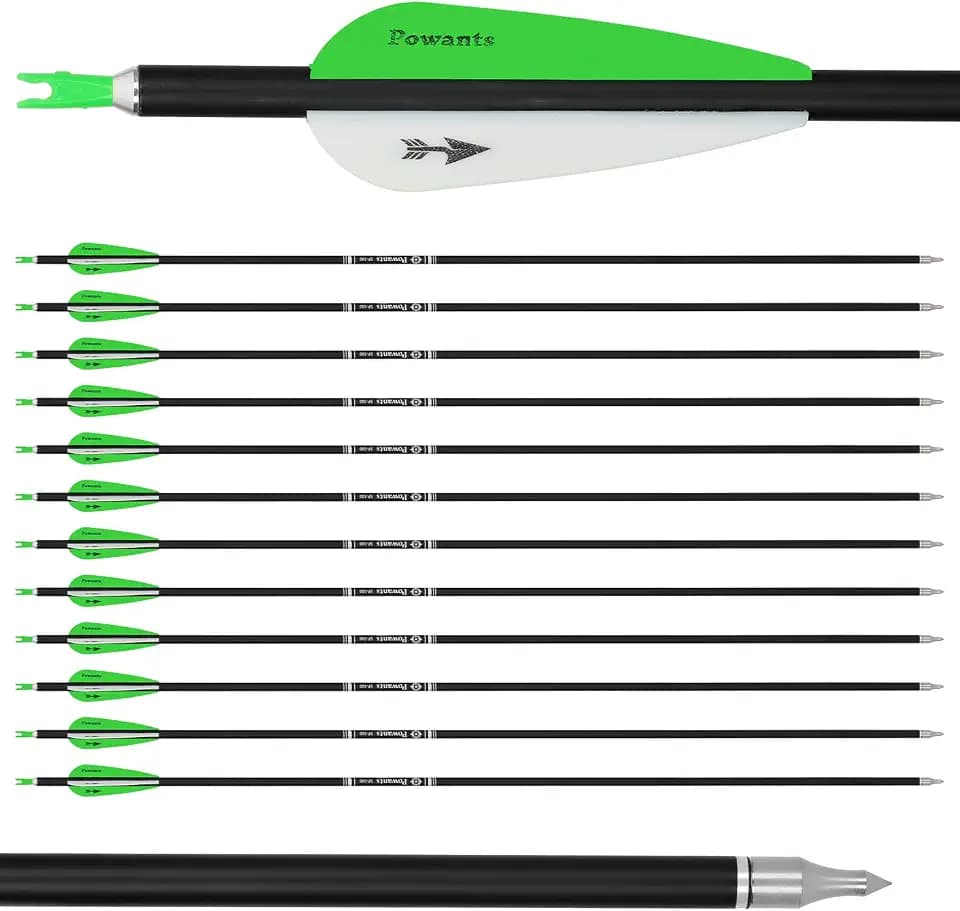 31inch Carbon Arrow Archery Targeting Practice Hunting Arrows for Compound & Recurve Bow with Removable Tips(Pack of 12)