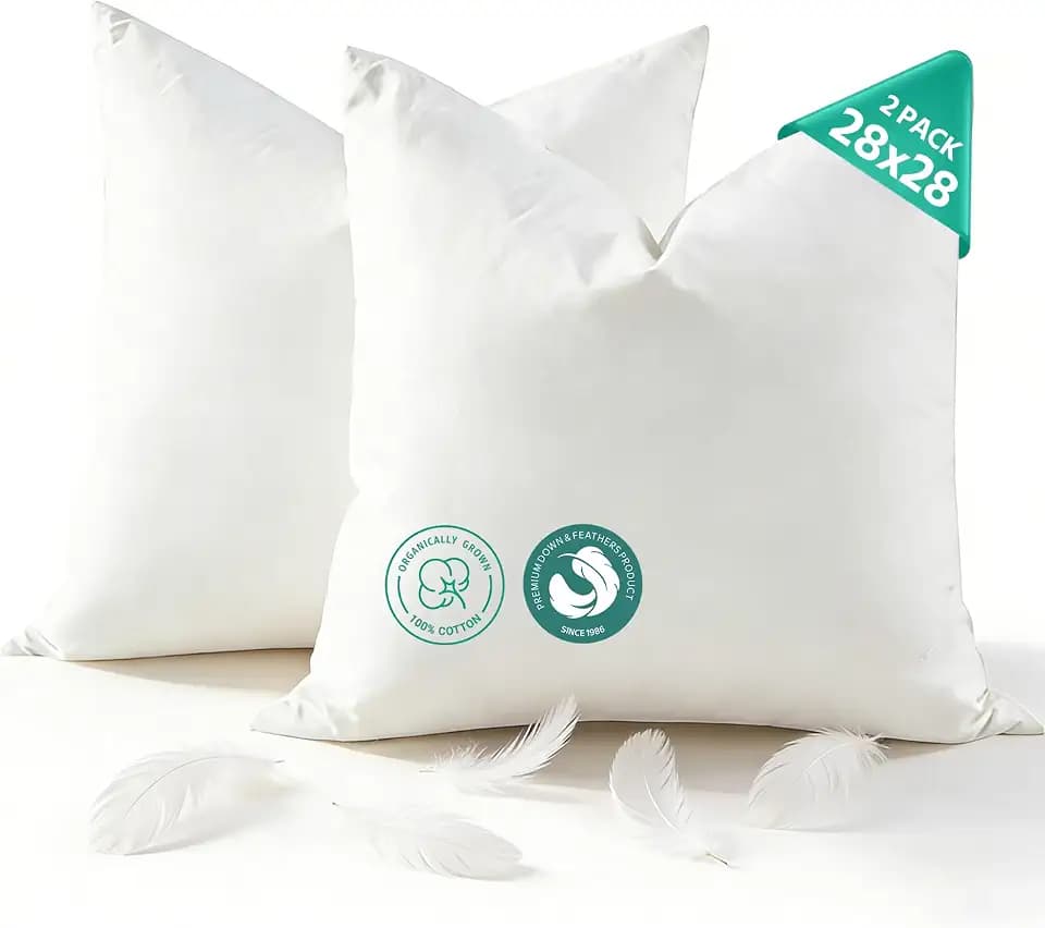 APSMILE Goose Feather Down Euro Throw Pillow Inserts, 28x28 Inch Set of 2