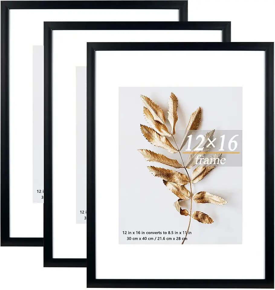 Set of 3 12x16 Picture Frame Black Frames can Display 8.5x11 Picture with Mat or 12x16 Without Mat on the Wall