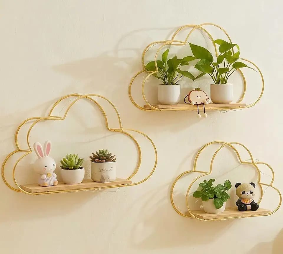 Floating Shelves for Wall, Wall Mounted Shelves Small Wall Hanging Shelve
