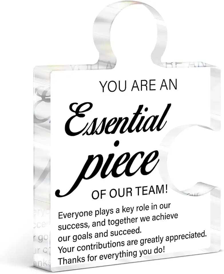Team Appreciation Gifts for Coworkers Employees, Best Team Ever Gifts