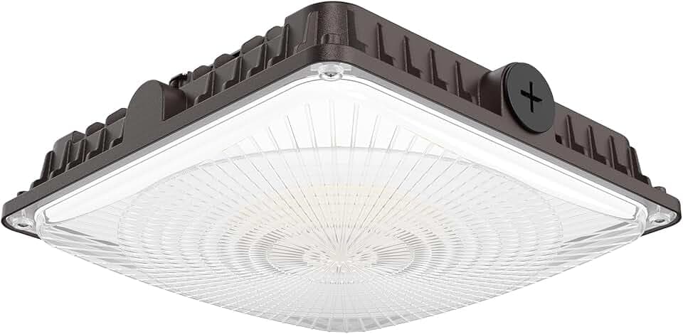 LED Canopy Lights 40W: 5600LM Canopy LED Lights - Surface Mount Outdoor Lighting for Workshop Carport Ceiling 1 Pack 2026 New Model
