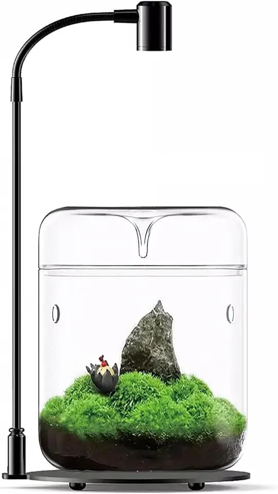 Glas-Pflanzterrarium, 12,9 x 17,8 cm, Sukkulenten-Übertopf, Farnmoos, Mikro-Landschaftsvase für Zuhause, Büro, Tischdekoration, Behälter mit Deckel, für den Innenbereich, Wardianisches Copyright