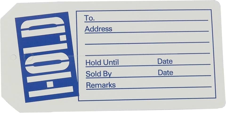 SSWBasics Blue/White Hold Slit Tags (2-3/8"W x 4-3/4"H) - Box of 1,000