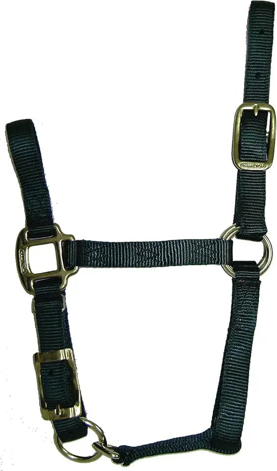 Hamilton Quality Adjustable Horse Halter, 100-200 lbs, Dark Green