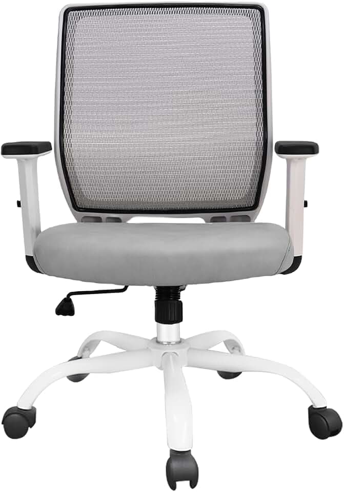 Office Chair Ergonomic Desk Chair Mesh Computer Chair, Executive Chairs for Home Office Comfortable Lumbar Support (Gray)