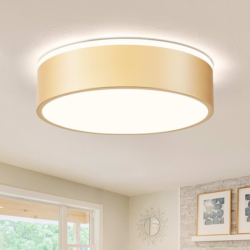 Gold LED Ceiling Light Fixture, Flush Mount Ceiling Light, 11.81in