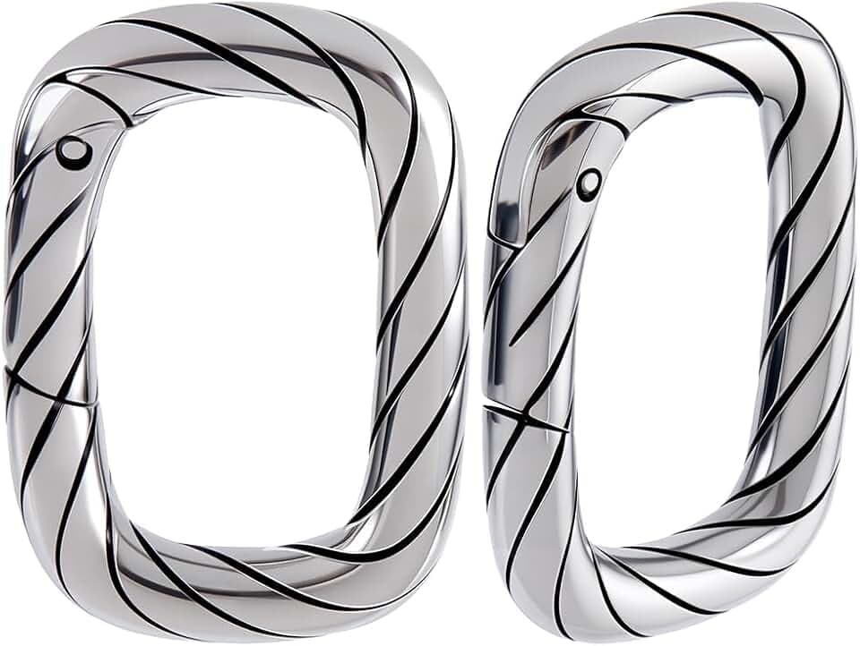 Beebeecraft 1 Box 2Pcs Spring Gate Ring Small 316 Stainless Steel Rectangle Necklace Spring Clasp Connector Closure for Jewelry Making Bracelet Anklet DIY Crafts Men