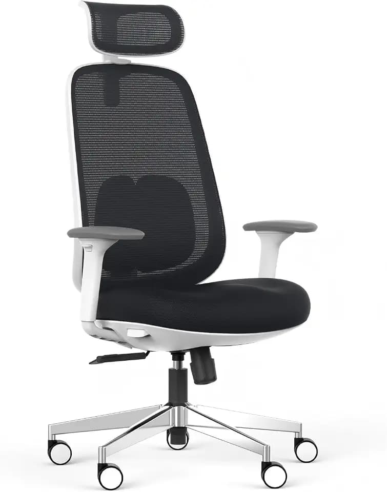 HANCHEN Ergonomic Office Chair with Expanded Lumbar Support & 3D Armrests