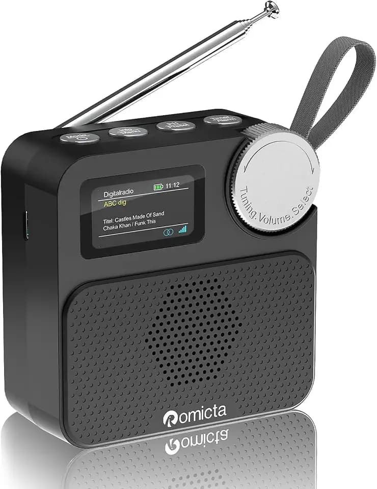 Romicta DAB/DAB+ Radio mit Bluetooth 5.0, tragbares Digitalradio mit UKW, Farbdisplay, MicroSD-Karten-Slot, Wecker & Timer, wiederaufladbar, ideal für Zuhause & unterwegs