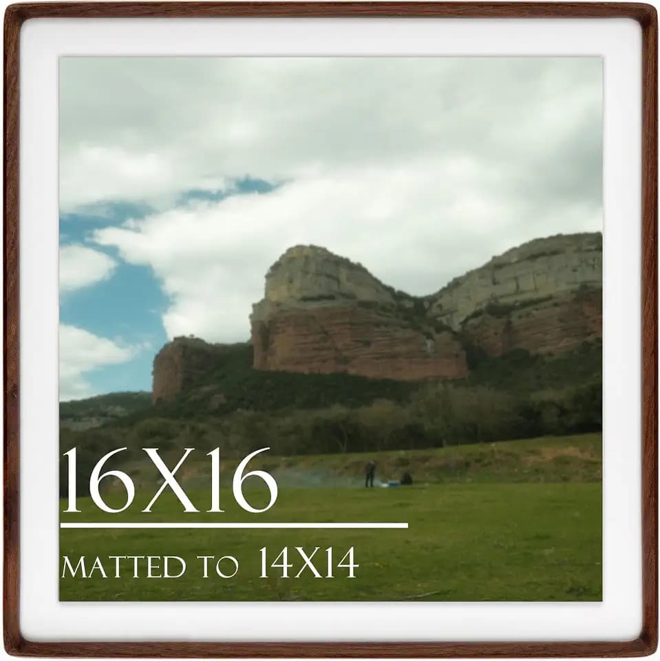 16x16 Solid Walnut Picture Frame, Matted for 14x14 Photos