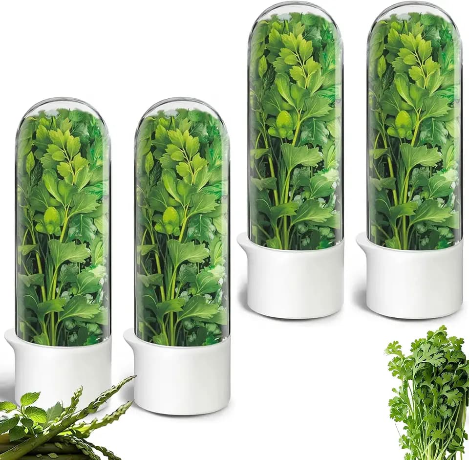 Herb Keeper for Refrigerator, Herb Saver Cilantro Containers for Refrigerator, Fresh Herb Keeper for Cilantro, Parsley, Asparagus, Mint, Keeps Greens Vegetables for 2-3 Weeks
