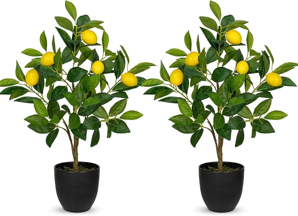 2Ft Artificial Lemon Trees, 2 Packs Large Artificial Plants Indoor with Black Pots Faux Potted Citrus Trees Fake Floor Plants Lemon Decorations for Home Living Room Office, Bedroom Table, Desk