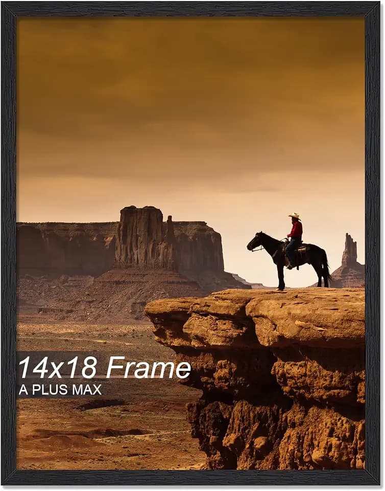 A PLUS MAX 14x18 Picture Frame Black Light Weight Wall Mount