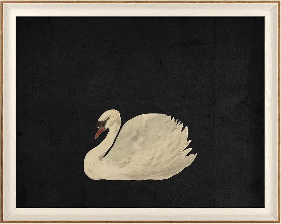 VIYYIEA Framed Zwaan Swan Wall Art, Vintage Animal Artwork, 20×16 Inch