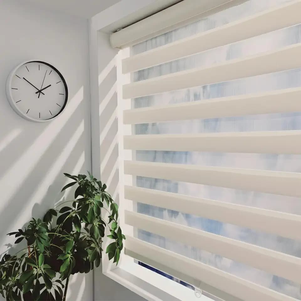 ShadesU Cordless Zebra Blinds Roller Shades, Ivory, 32.5" W x 72" H