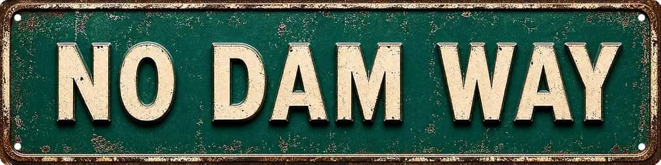 No Dam Way Metal Sign 4X16 Inch Wall Decor