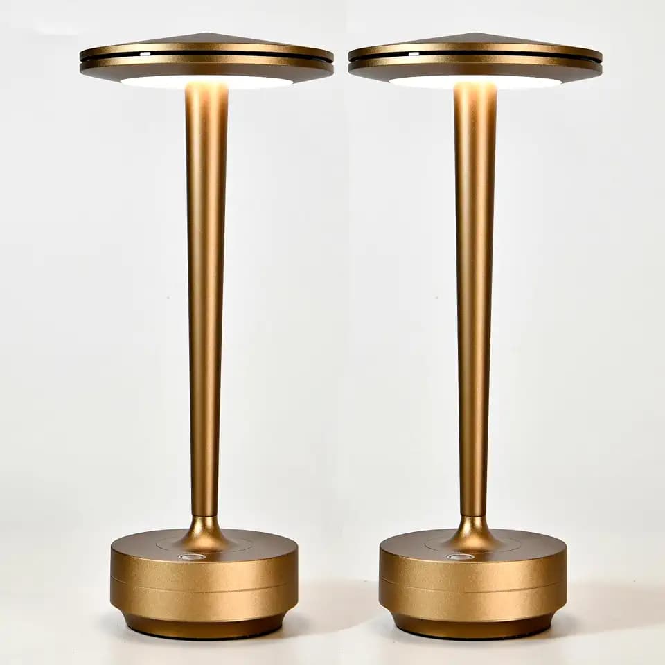 Cordless Rechargeable LED Table Lamp Set of 2 Bronze