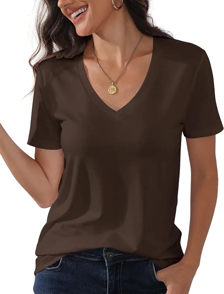 PALINDA Women's Classic Fit T Shirts Short Sleeve V Neck Casual Tee Shirt Summer Tops