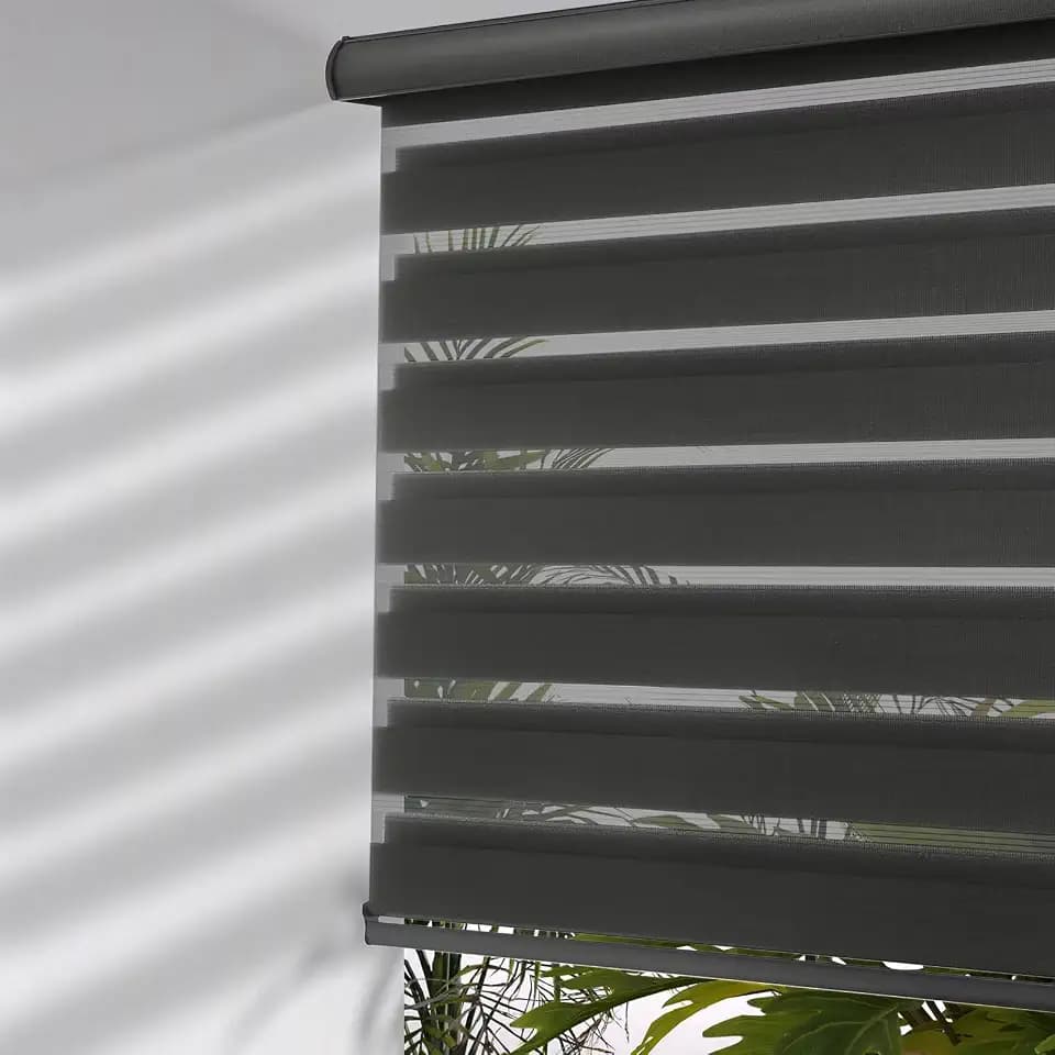 MYshade Cordless Zebra Blinds with Free-Stop Function - Dual Layer Light Filtering & Privacy Sheer Shades for Day and Night - Easy Install Window Shades for Home, Living Room, 39" W x 72" H,Black