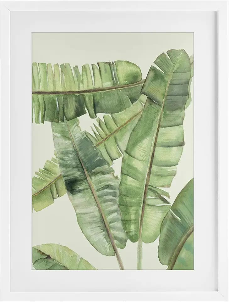 'Banana Leaves Layered'| Framed Print Under Glass
