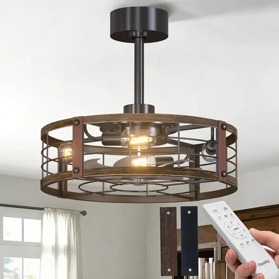 Passky 20" Caged Ceiling Fans with Lights and Remote, Downrod Fandelier