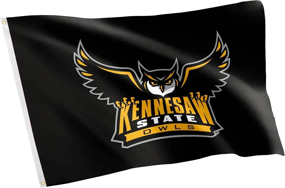 Desert Cactus Kennesaw State University Owls Flag 3x5 Outdoor (#8)