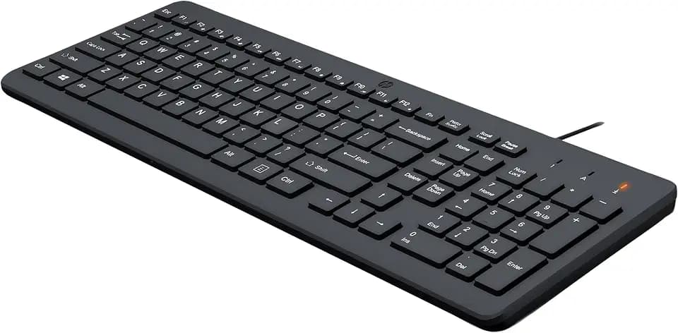 HP 150 spanische QWERTY-Tastatur mit Kabel – (LED-Anzeige, USB-A, 12 Tastenkombinationen, Windows 10, Windows 11), Schwarz