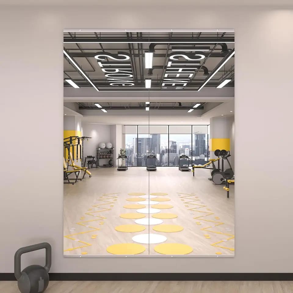 LOAAO Home Gym Mirror, 63"x24", 2 PCS