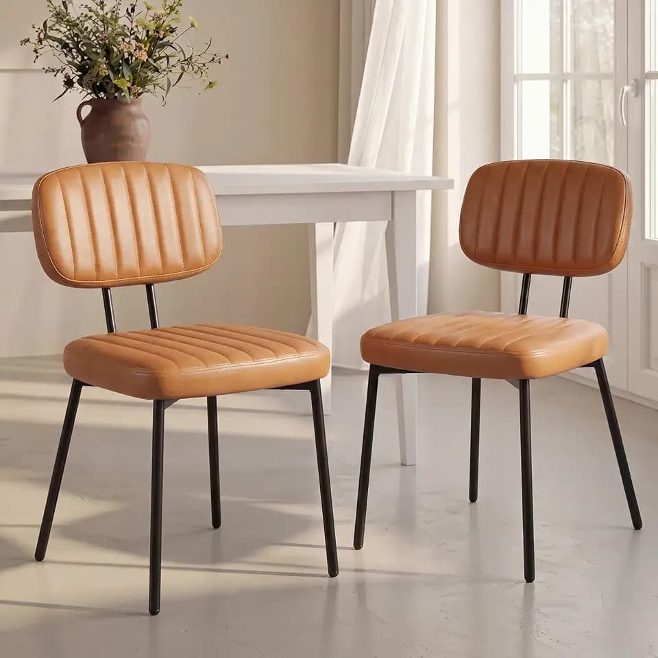 OLIXIS Dining Chairs Set of 2, Mid Century Modern Kitchen Chairs