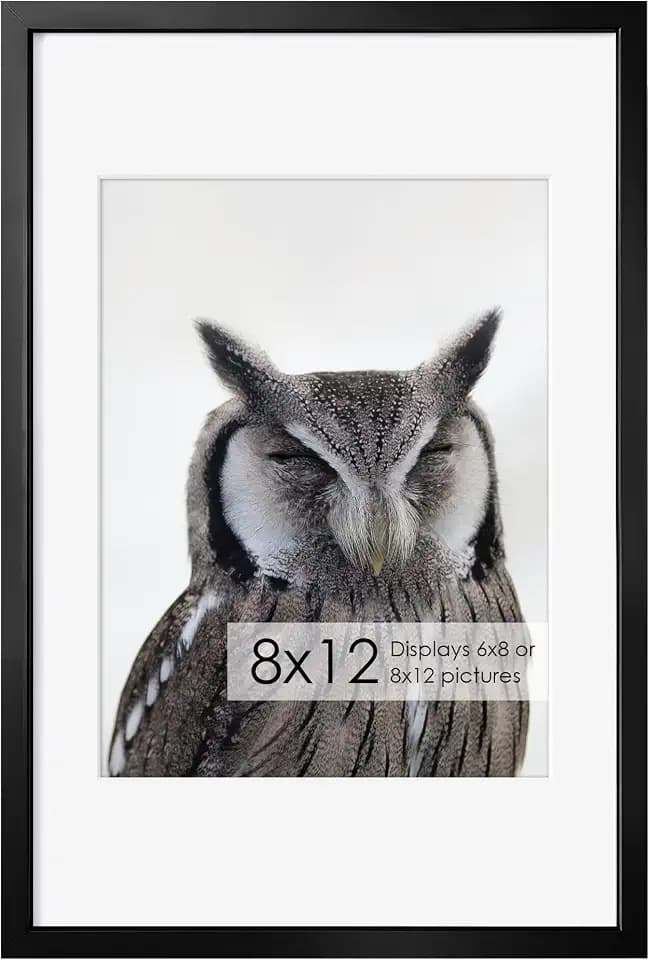 Fun Memories 8x12 Metal Picture Frame- 8x12 Aluminum Photo Frames with 6x8 Mat, High-Definition Plexiglass Front, and Hanging Hardware - Ideal for Wall or Tabletop Display (Black, Pack of 1)