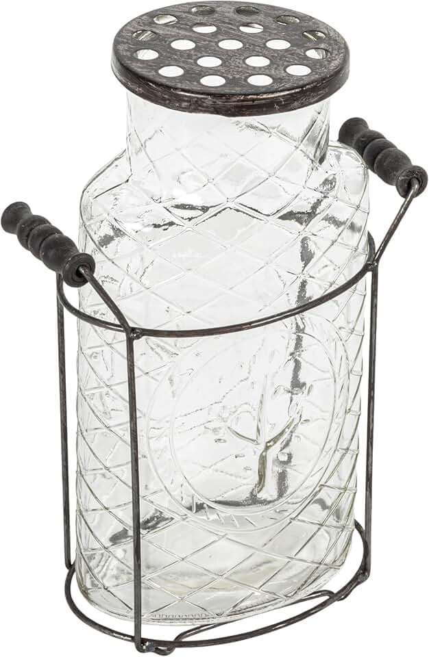 Creative Co-Op Glass vase in Metal Stand with Metal Frog Lid