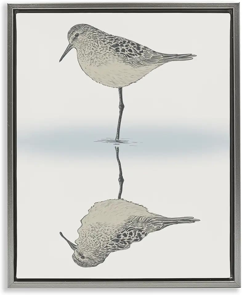 'Tranquil Sandpiper Bird Reflection'| Floating Frame Canvas Art