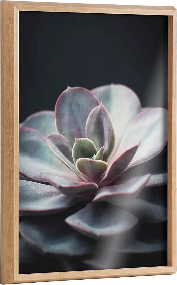 Kate and Laurel Blake Lavender Succulent Framed Printed Glass Wall Art by Emiko and Mark Franzen of F2Images, 18x24 Natural, Modern Botanical Succulent Wall Décor